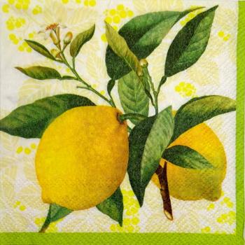 096 Zitronen, Orangen - 3-lagig - Atelier